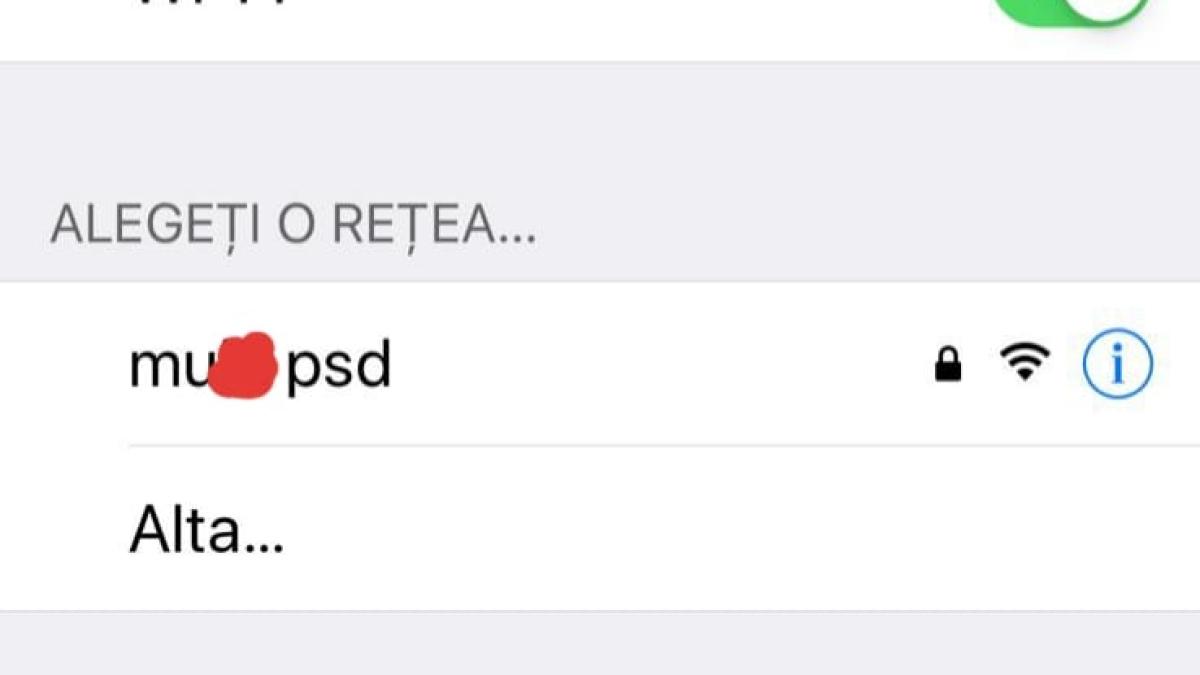 retea_wifi_tribunal_bucuresti_muie_psd_flavia_teodosiu_avocata_dragnea_sursa_ionela_arcanu