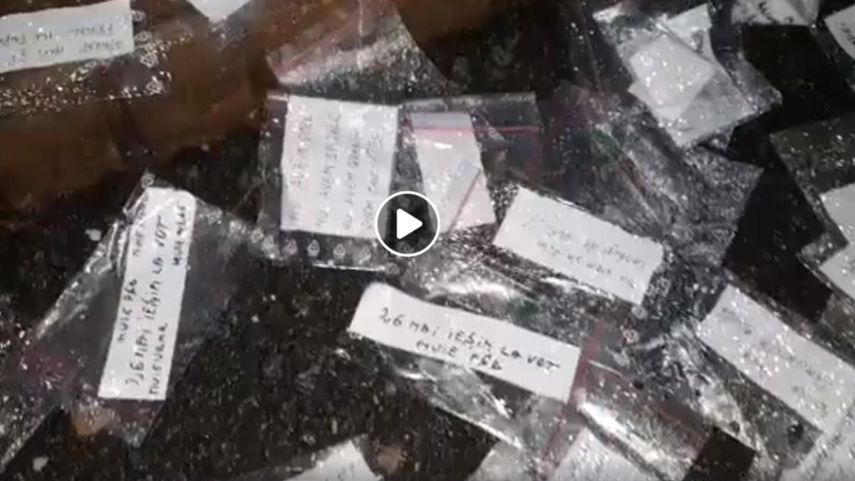 pliculete_droguri_florin_iordache_main