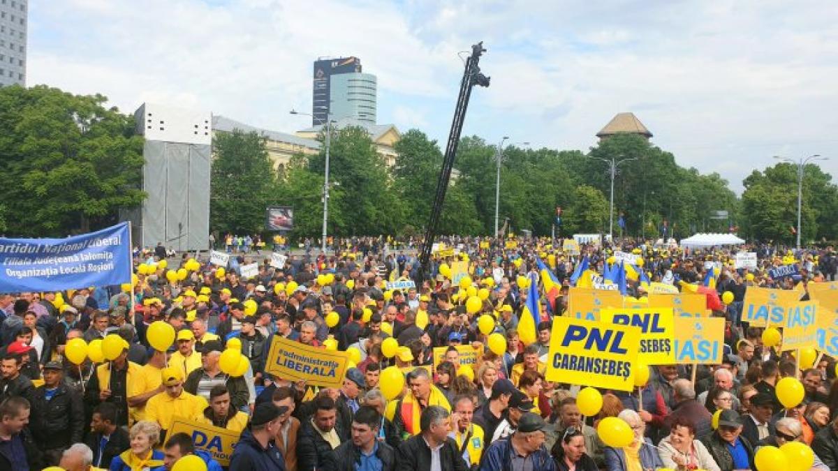 miting_pnl_18_mai_piata_victoriei