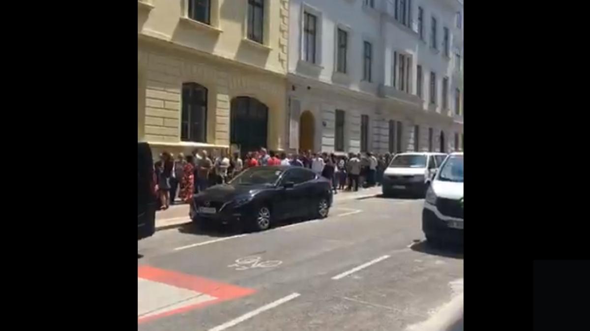 austria_viena_romani_coada_vot_captura