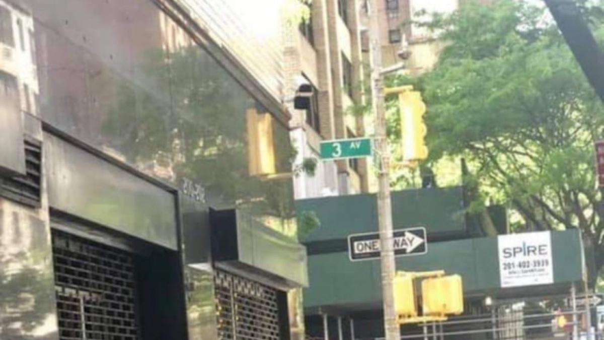 teodor_melescanu_la_vot_new_york_daiana_voiculescu