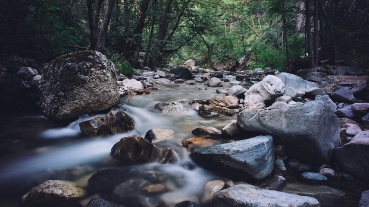 patru_copii_luati_de_o_viitura_in_judetul_prahova