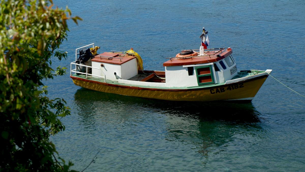 barca_vaporas_flickr