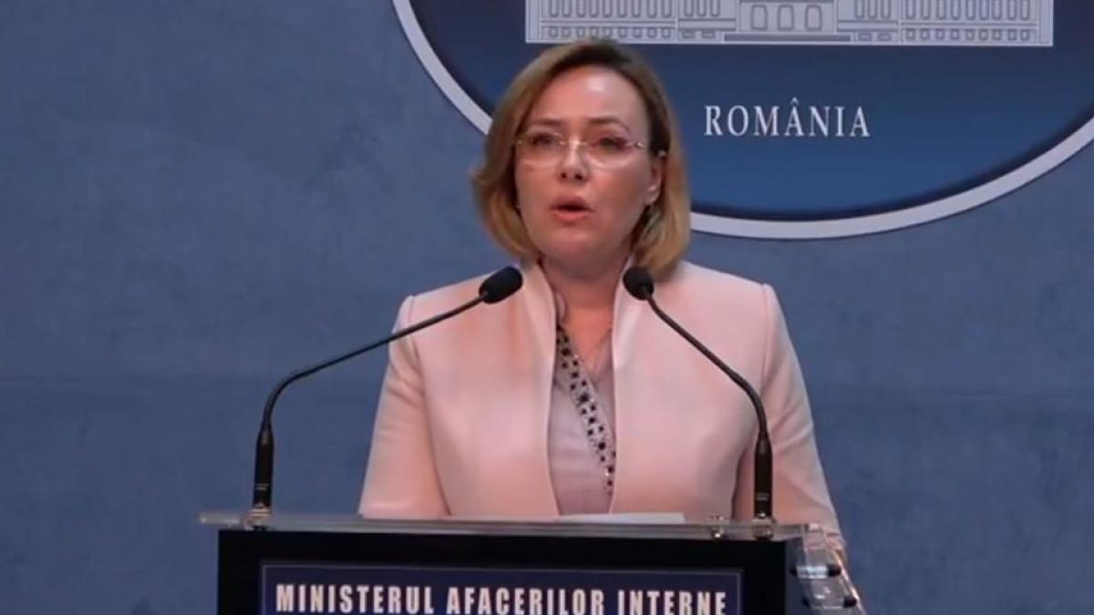 carmen_dan_declaratii_alegeri_demisie_mai