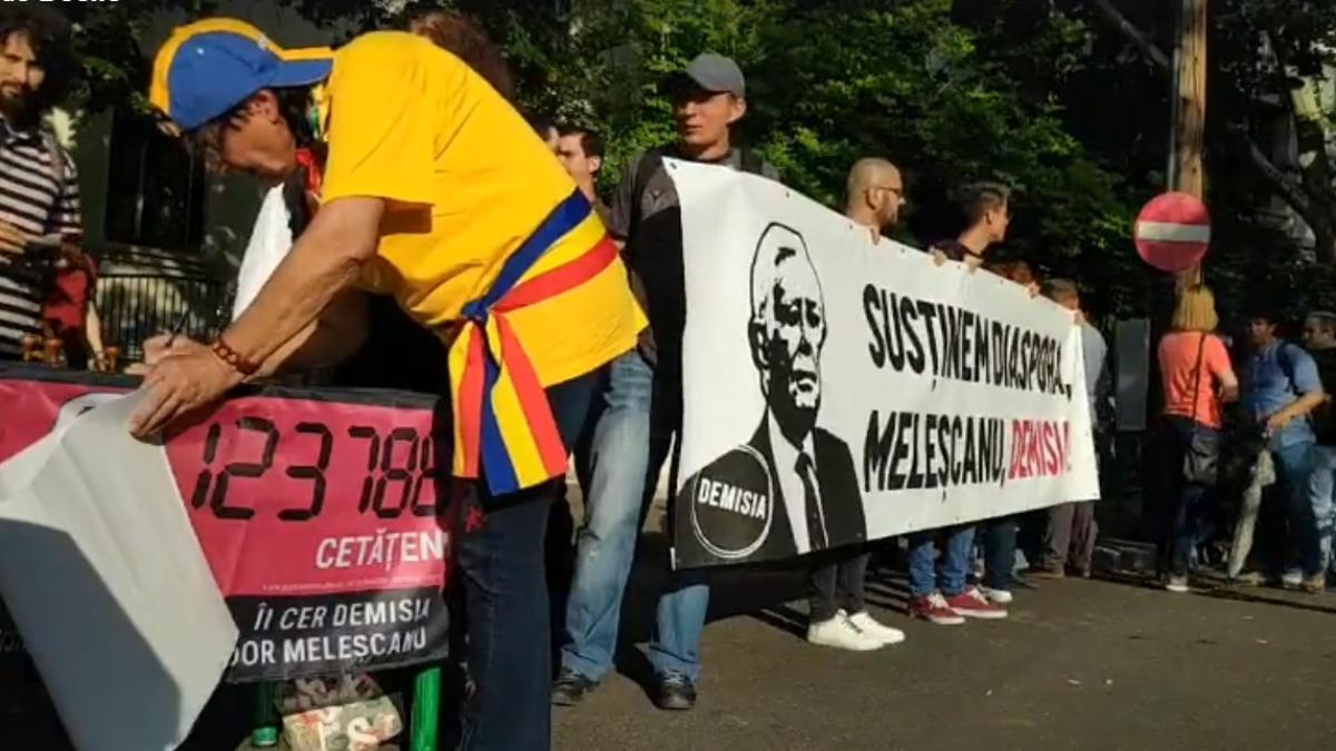 protest_coada_mae_demisia_teodor_melescanu