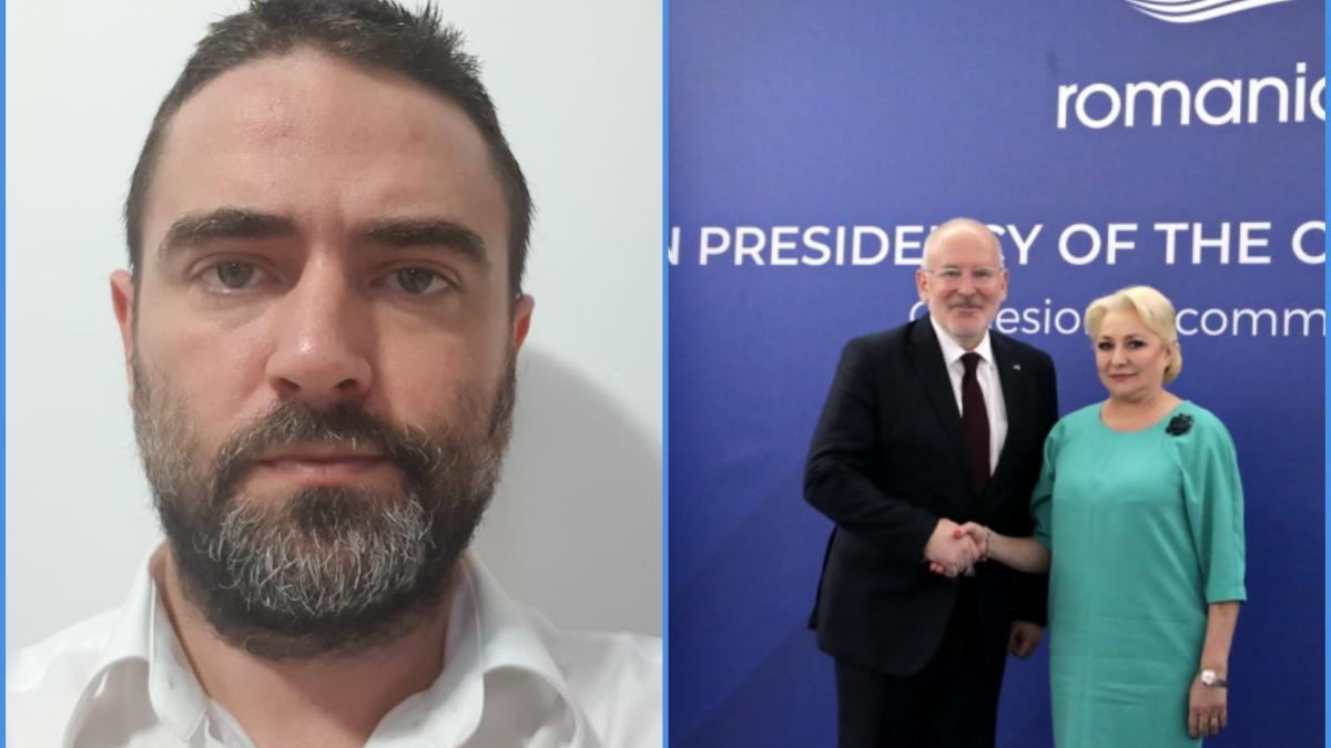 colaj_plesoianu_dancila_timmermans