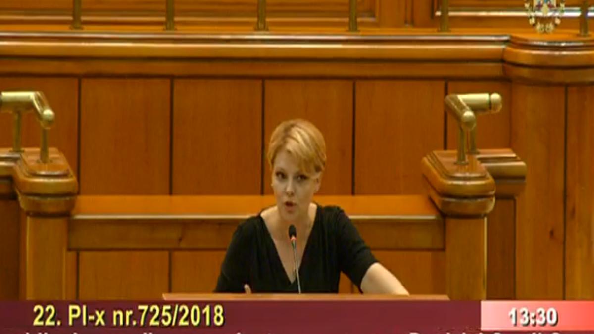 lia_olguta_vasilescu_camera_deputatilor_lege_pensii