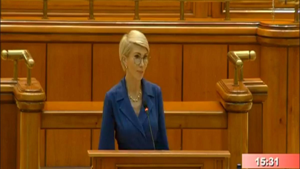 raluca_turcan_motiune