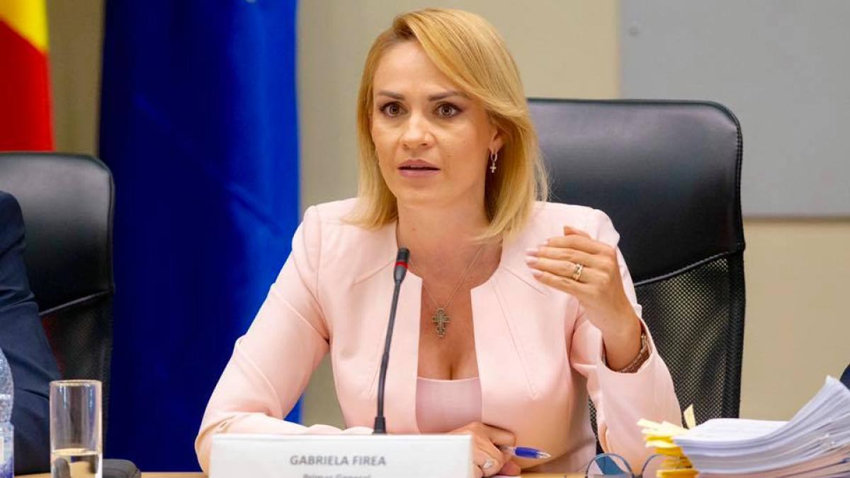 gabriela_firea_sursa_fb_sedinta_consiliu_primarie