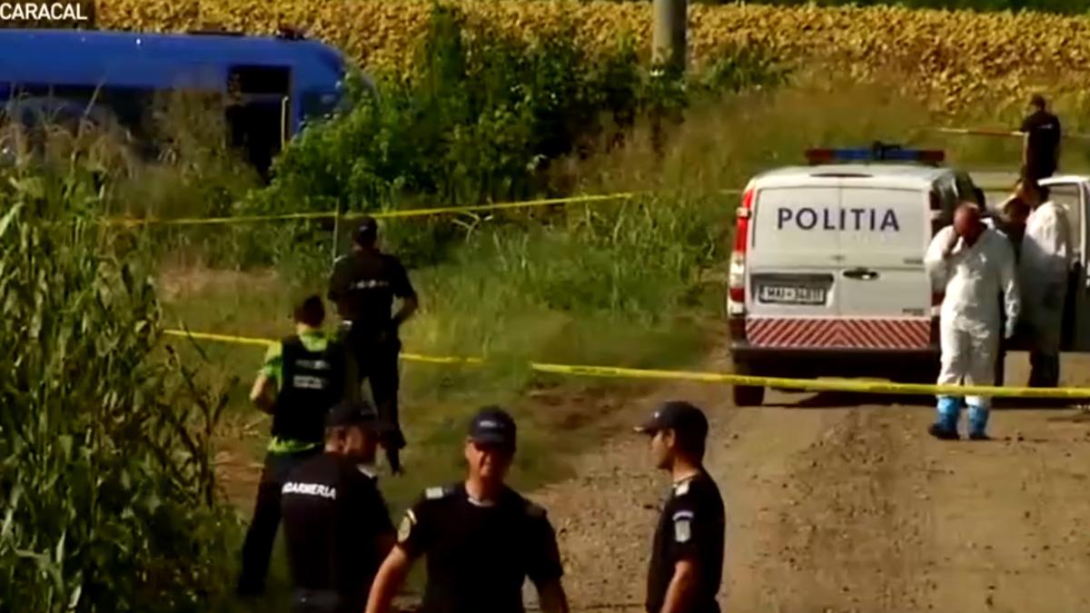 caracal_padure_oseminte_luiza