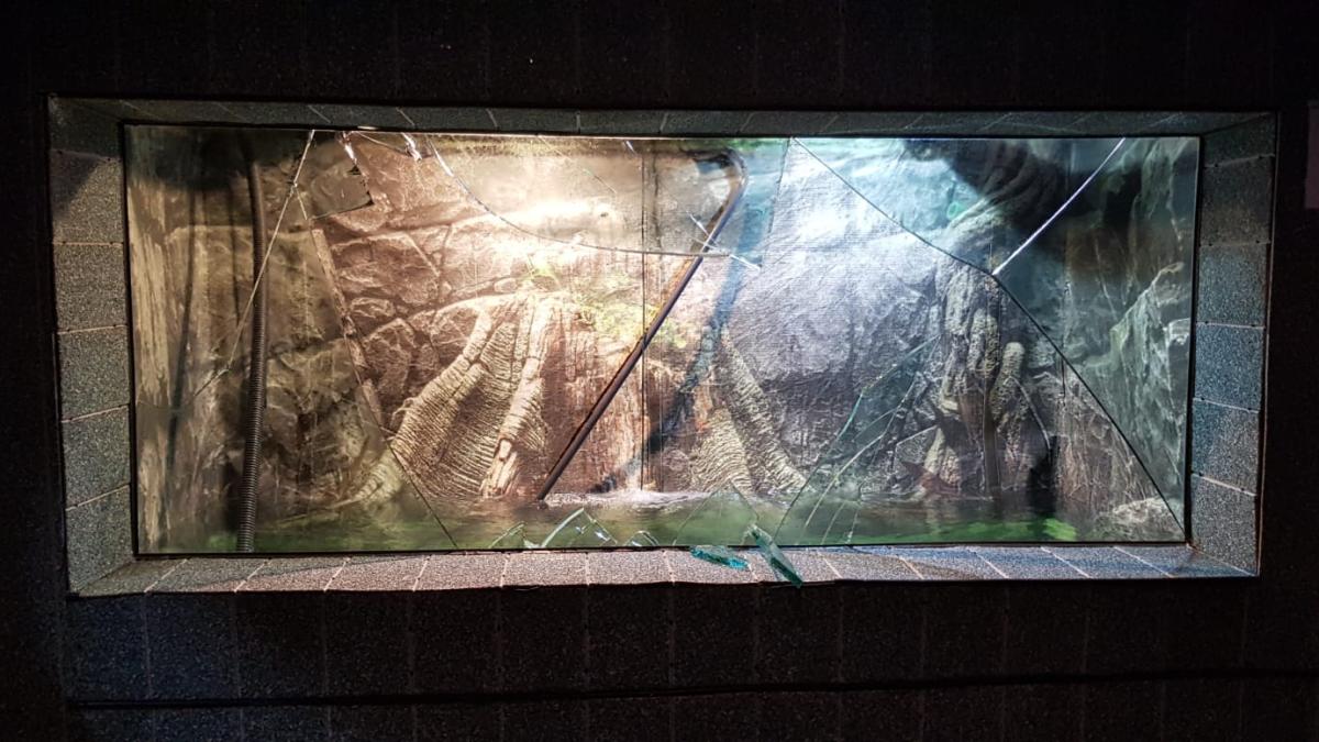 acvariu_spart_constanta