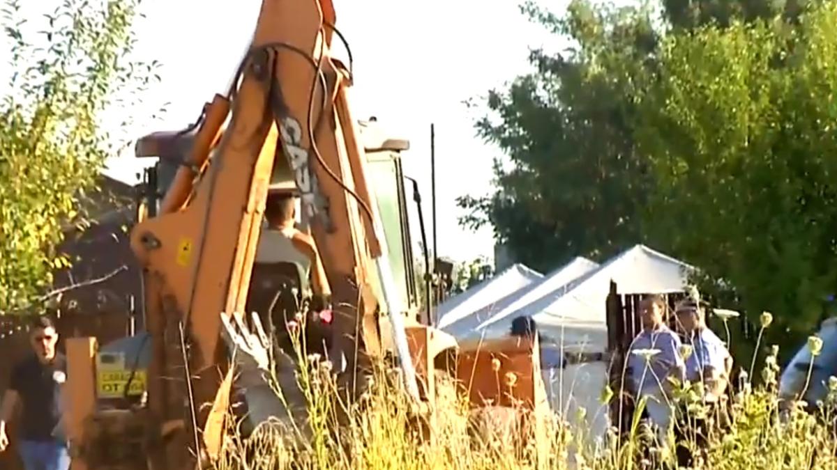 caracal_ancheta_escavator_casa_groazei