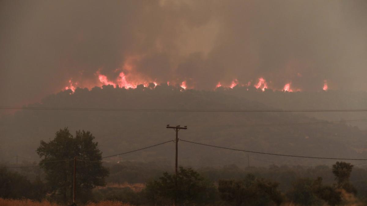 incendiu_grecia_evia_agerpres1