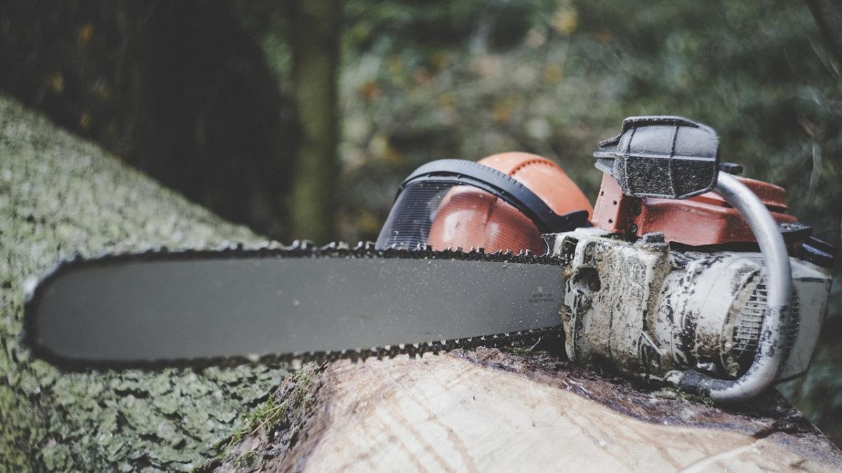 roman_despagubiri_drujba_spania