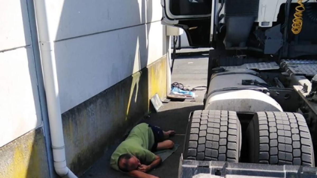 sofer_roman_beat_belgia_1