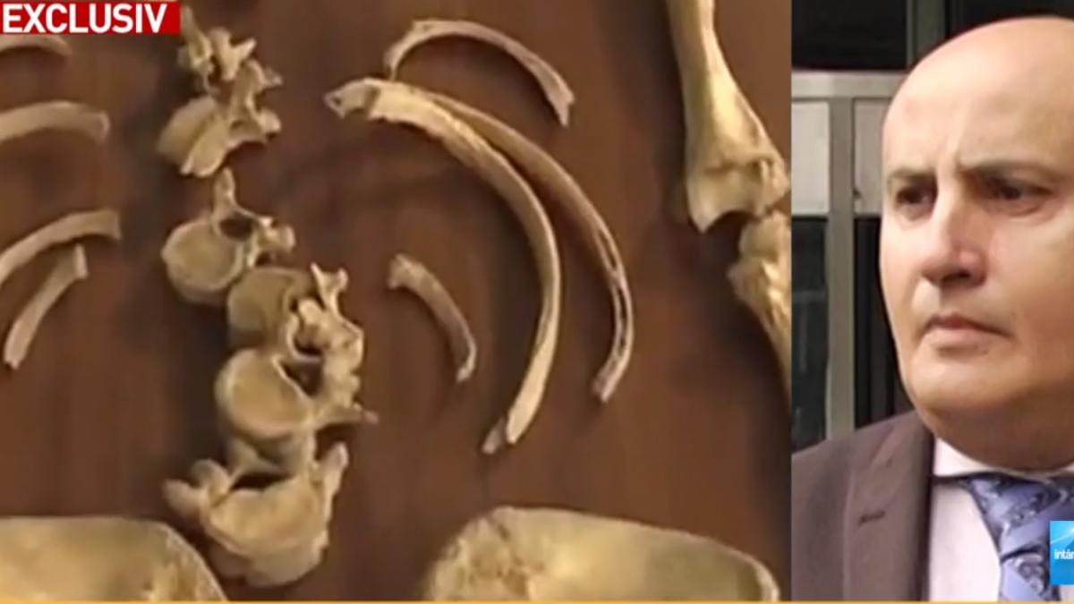 avocat_familia_alexandra_macesanu_teste_adn