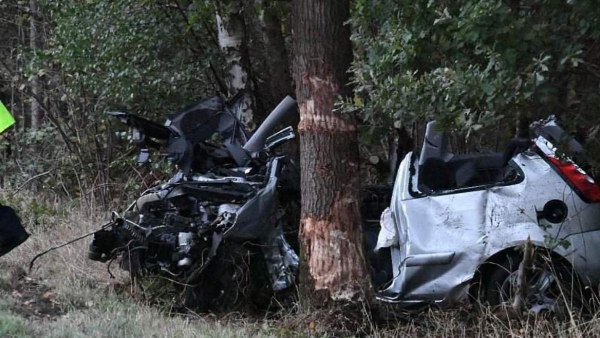 germania_accident_roman_si_moldovean_morti