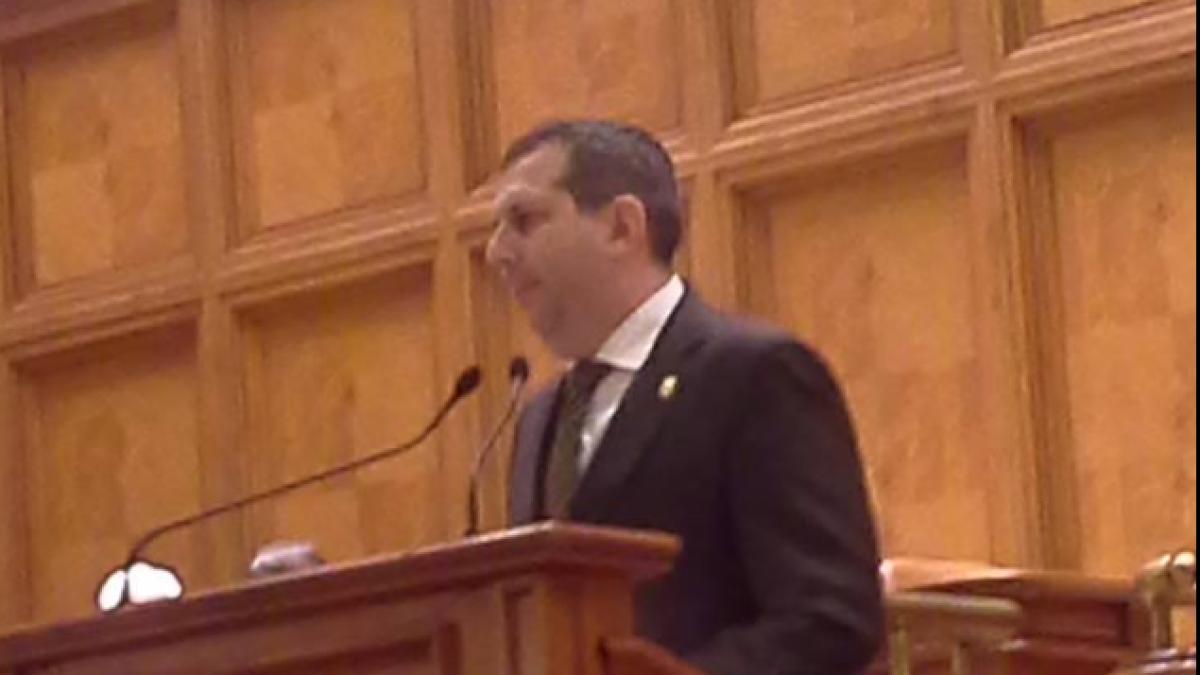 theodor_nicolescu_pnl