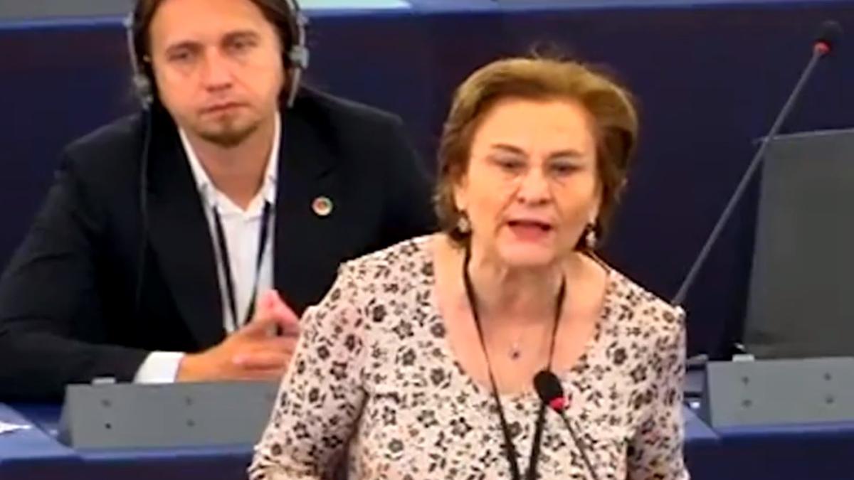 maria_grapini_parlamentul_european