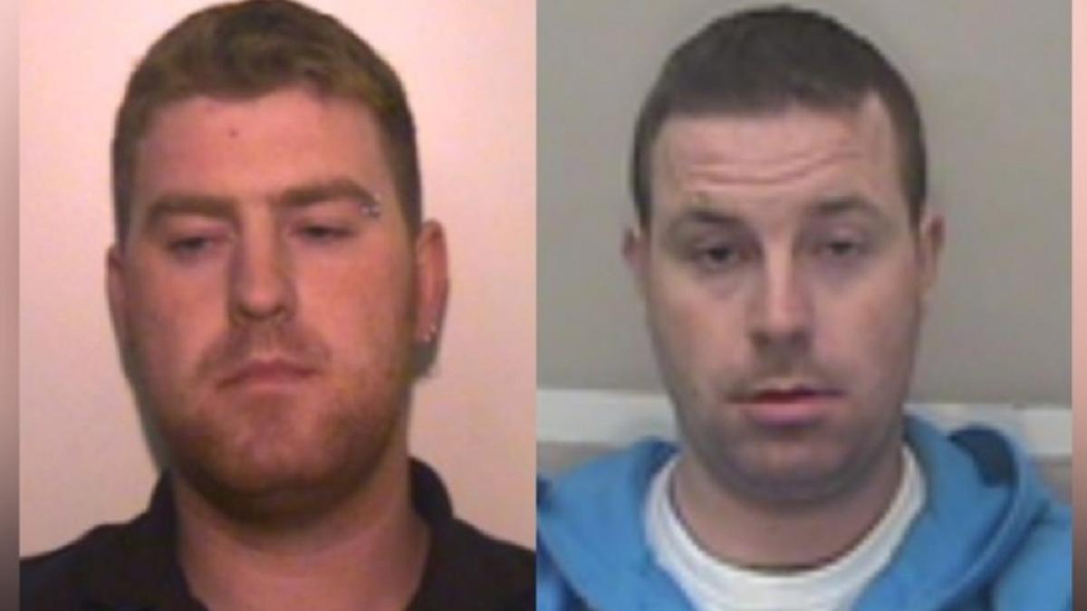 frati_cautati_irlanda_camion_39_morti