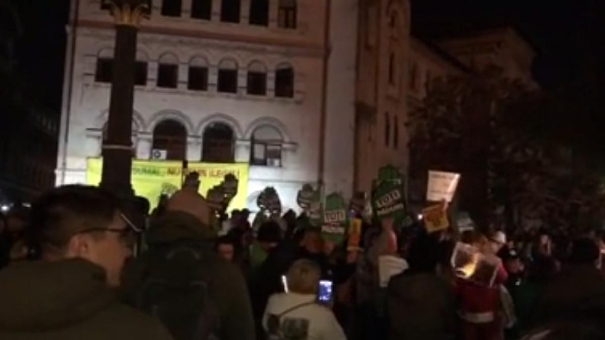 protest_piata_universitatii_defrisari_2