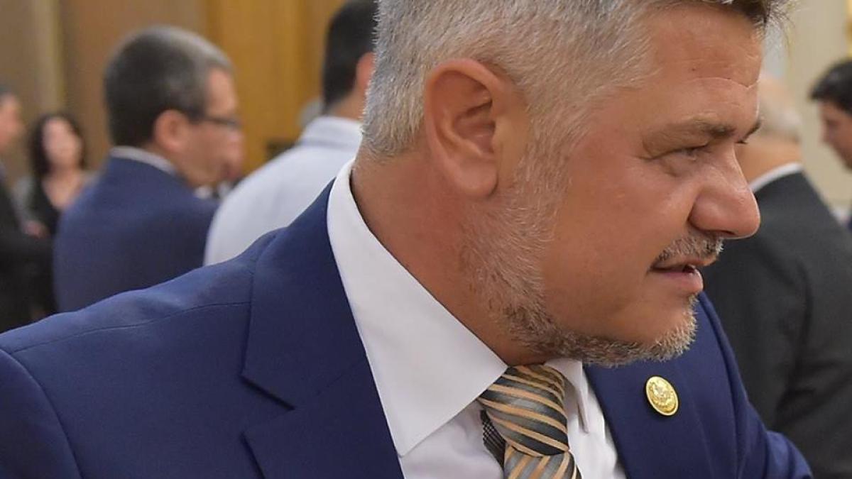 ninel_peia_candidat_prezidentiale