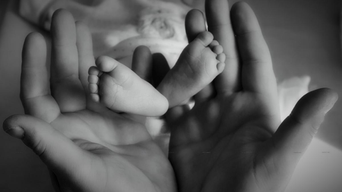 bebelus_copil_mic_pxb_95387300