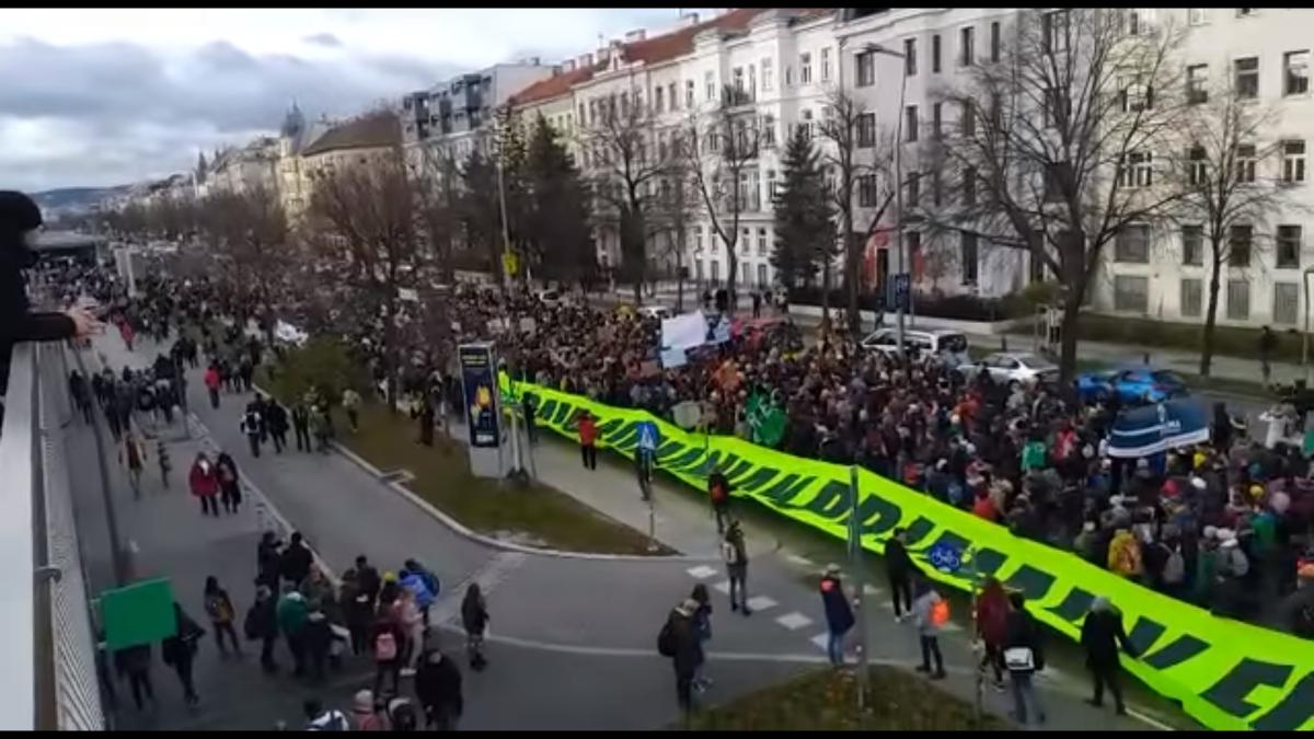 protest_viena_pentru_padurile_din_romania