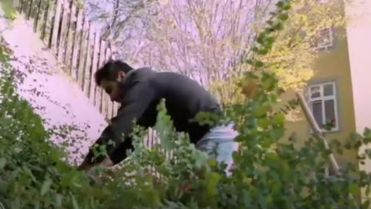 harman_refugiat_germania_manastire