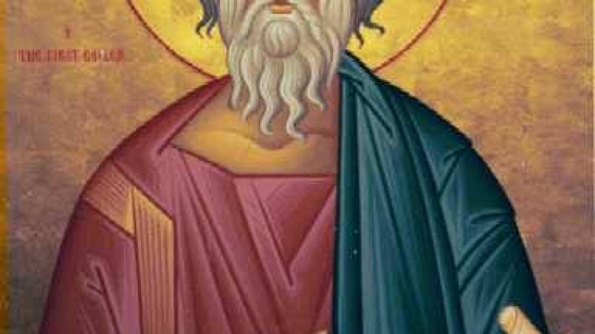 santul_andre_poza_facebook