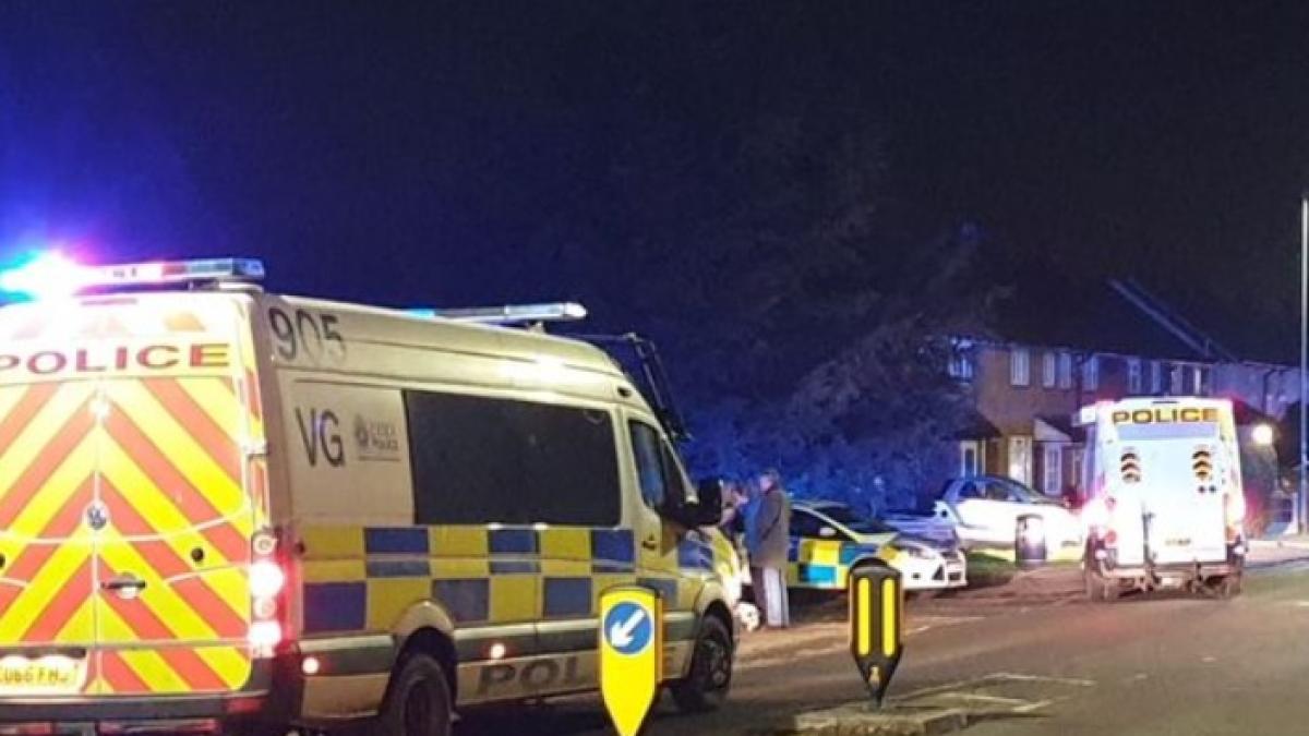 accident_londra_copil_mort_ambulanta_politie