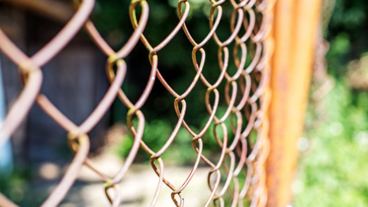 sclavie_moderna_gard