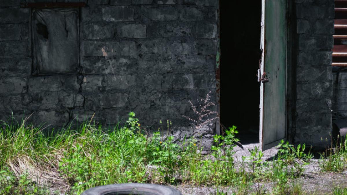 casa_abandonata_parasita