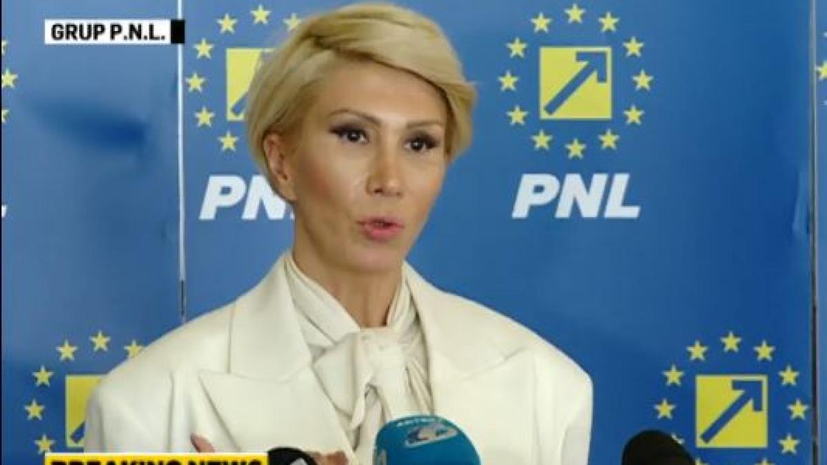 raluca_turcan_sedinta_pnl