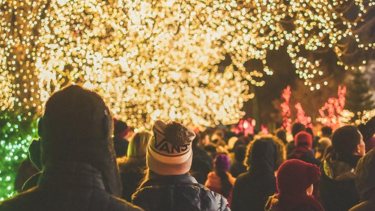 craciun_multime_decoratii_copaci_oameni