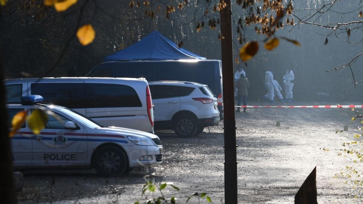 police_luxemburg_romanca_ucisa