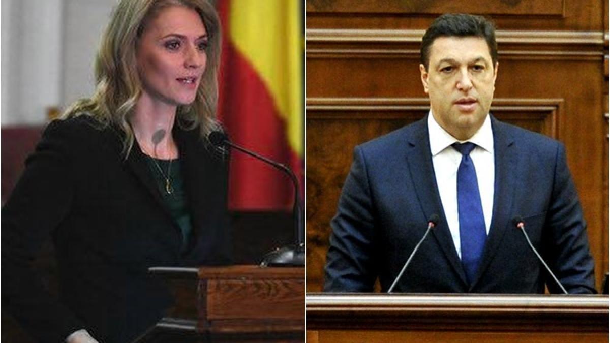 alina_gorghiu_serban_nicolae_senat