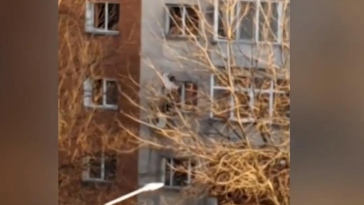 sinucidere_live_facebook_craiova