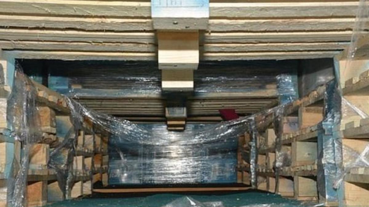 uk_transport_imigranti_captura_dailymail_2