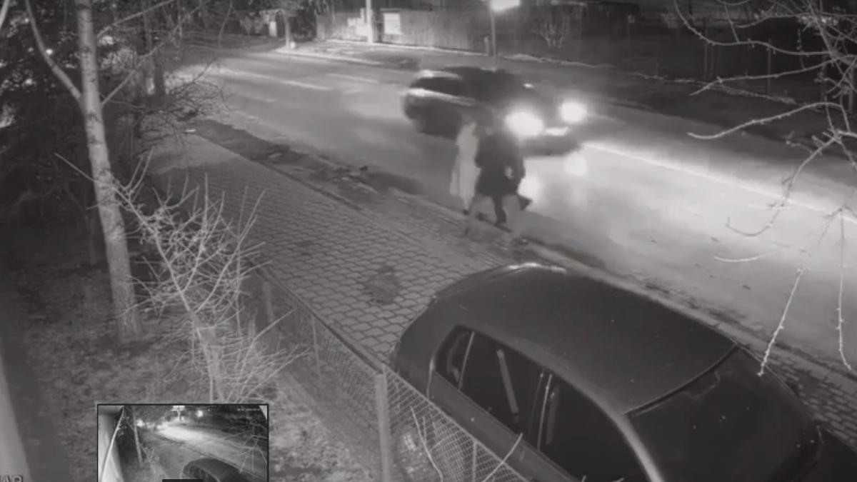 acc_copil_2ani_5484213