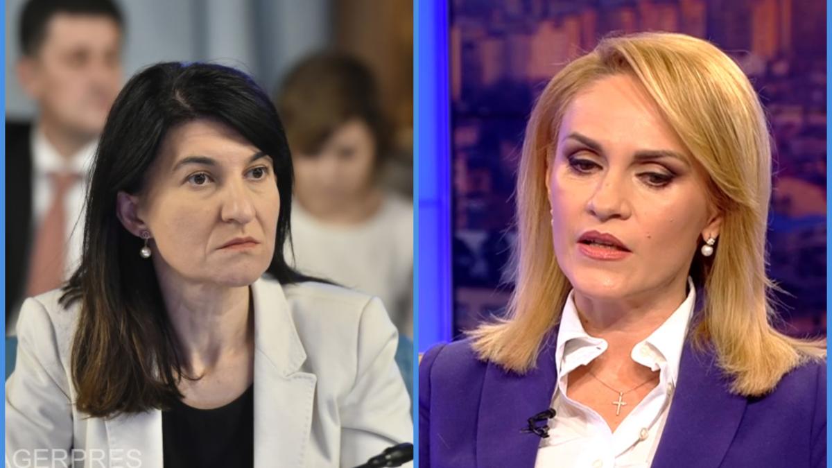 colaj_violeta_firea