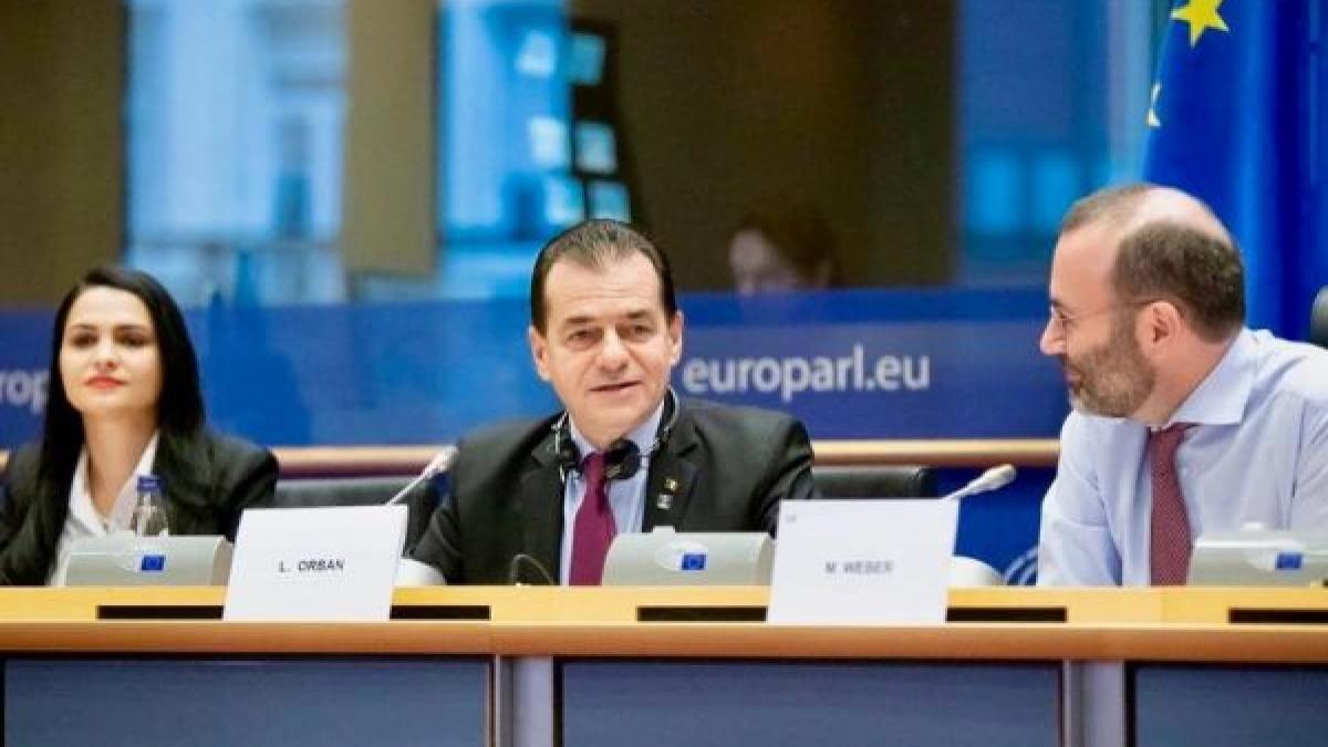 cristina_orban_1_600x400