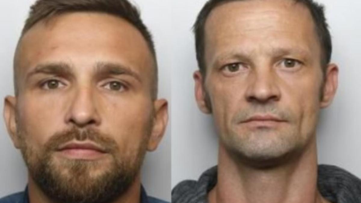 romani_furt_alcool_salisbury