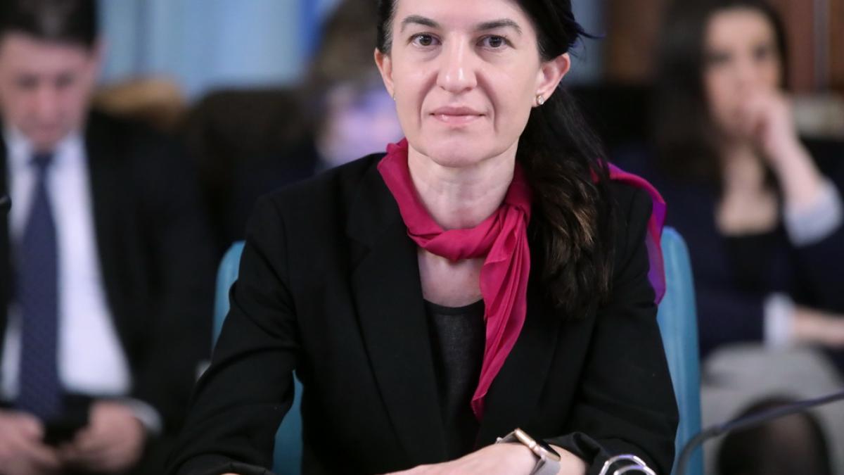 violeta_alexandru_gov_20_02_2020