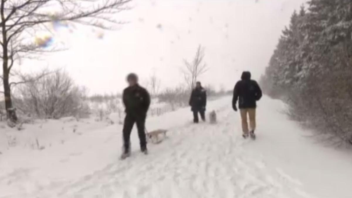 ninsoare_belgia_zapada