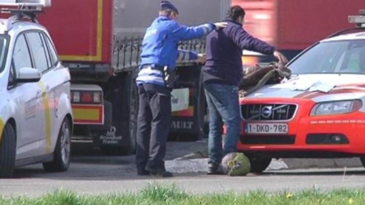 sofer_roman_migranti_blegia