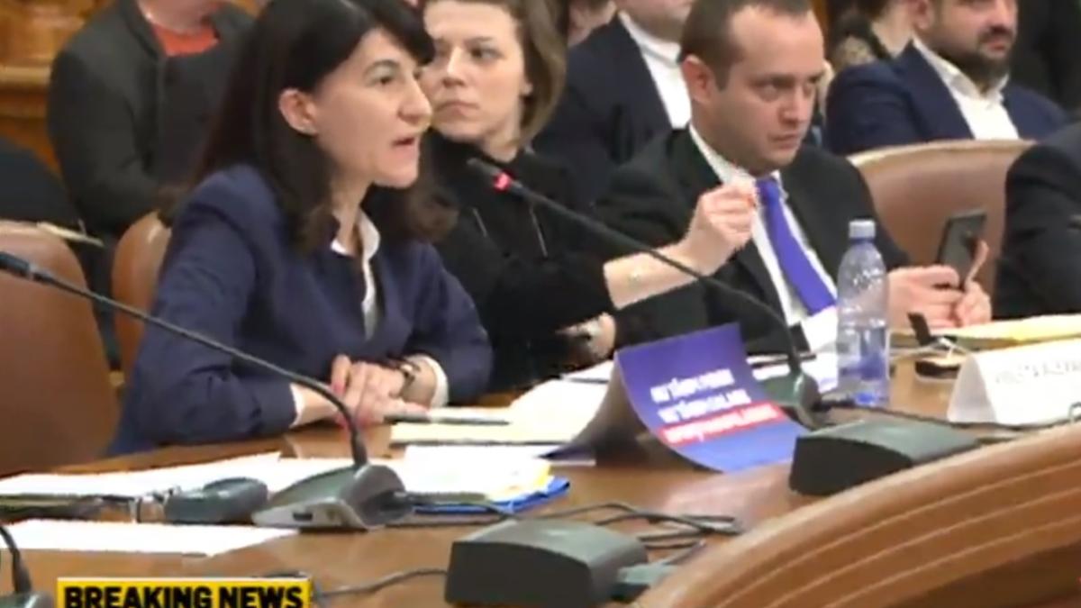 violeta_alexandru_audieri_parlament_carton