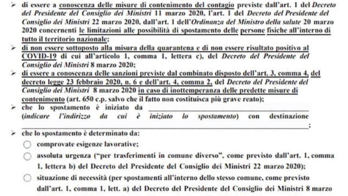 model_declaratie_italia2