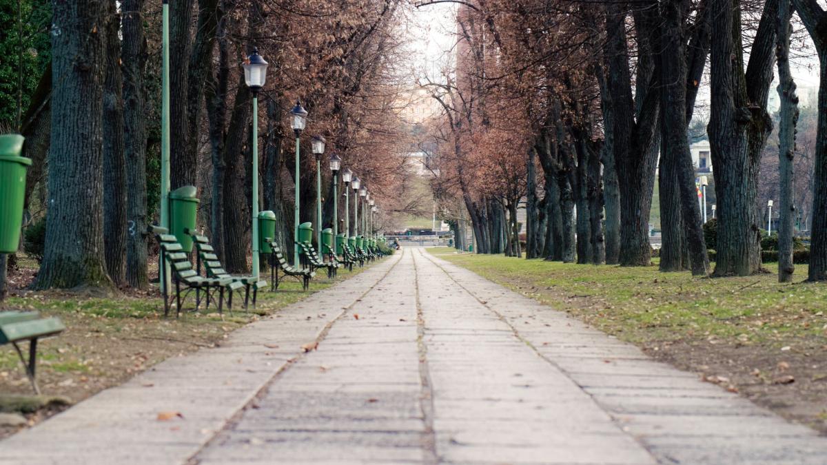 parc_alee_ilustrativ