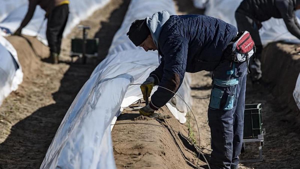 muncitori_romani_germania